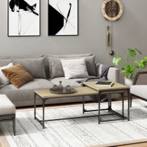 Coffee Tables 2 pcs Grey...