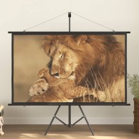 Projection Screen with...