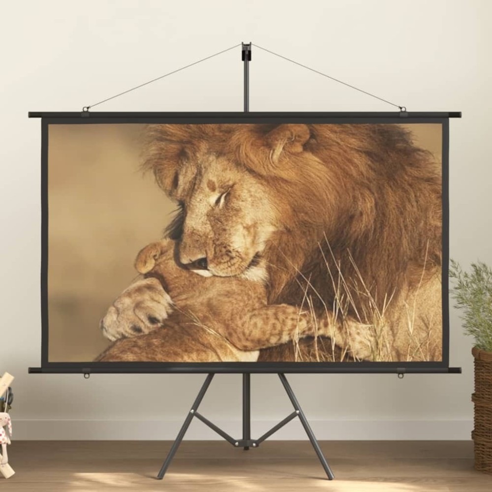 Projection Screen with Tripod 120" 16:9