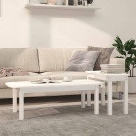 2 Piece Coffee Table Set...