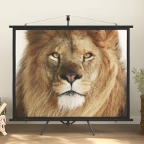 Projection Screen with Tripod 120" 16:9