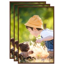 Photo Frames Collage 3 pcs for Wall Bronze 40x40cm MDF