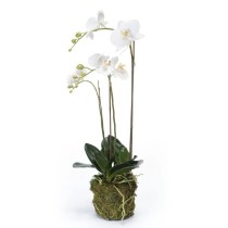 Emerald Artificial Phalaenopsis Orchid 70 cm White