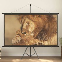 Projection Screen with Tripod 120" 16:9