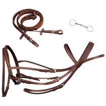 Leather Flash Bridle with Reins and Bit Black Cob