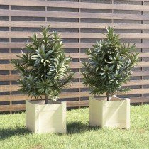 Garden Planters 2 pcs Black 31x31x31 cm Solid Pinewood