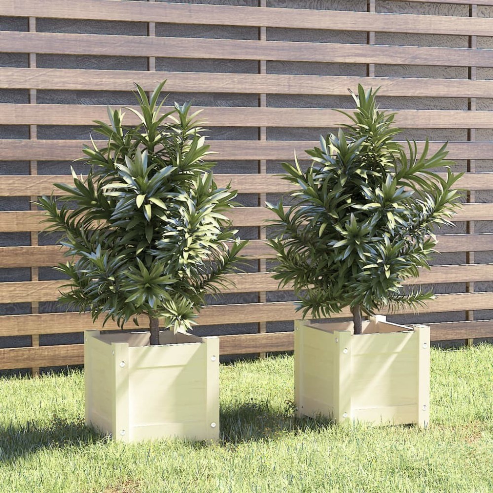 Garden Planters 2 pcs Black 31x31x31 cm Solid Pinewood