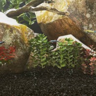 Aquarium Sand 25 kg Black...