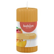 Bolsius Duftkerzen Geriffelt 6 Stk. 120x58 mm Apfel Zimt