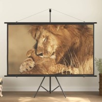 Projection Screen with Tripod 120" 16:9