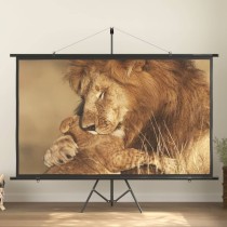 Projection Screen with Tripod 120" 16:9