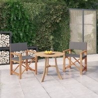 Director's Chairs 2 pcs...