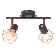 Ceiling Lamp with 2...