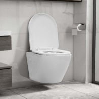 Wall Hung Rimless Toilet...