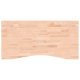 Desk Top 100x60x4 cm Solid Wood Beech
