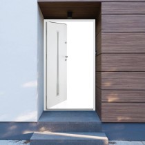 Front Door Anthracite 110x207.5 cm Aluminium