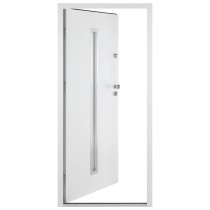Front Door Anthracite 110x207.5 cm Aluminium