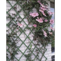 Nature 2 pcs Garden Trellises 100x200 cm PVC Green