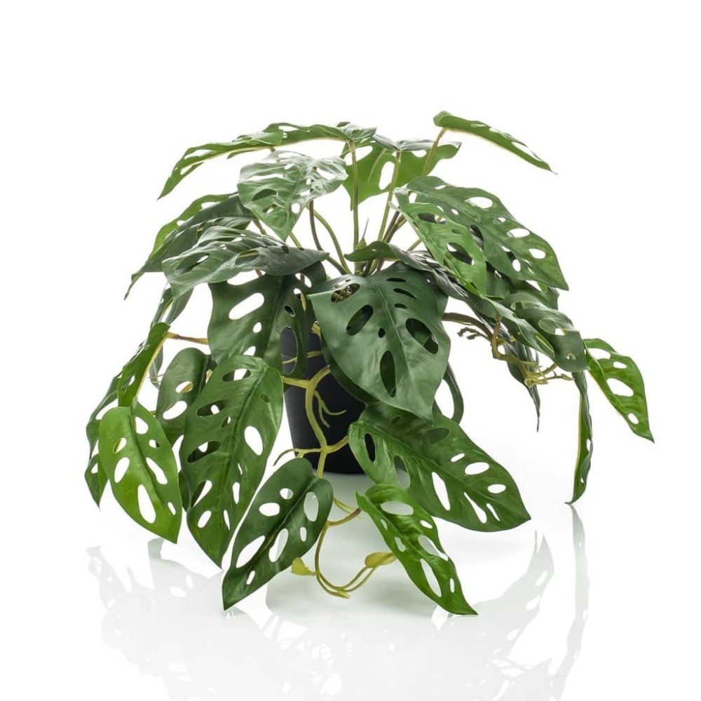 Emerald Artificial Monstera Monkey Bush 55 cm in Pot