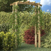 Trellis Arch 150x60x210 cm Wood