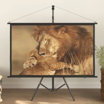 Projection Screen with Tripod 120" 16:9