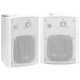 Wall-mounted Stereo Speakers 2 pcs White Indoor Outdoor 100 W
