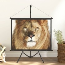 Projection Screen with Tripod 120" 16:9