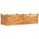 Garden Raised Bed 160x60x44 cm Solid Wood Acacia