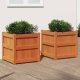 Garden Planters 2 pcs Impregnated Wood Pine