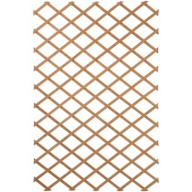 Nature Garden Trellis 100x200 cm Wood Green 6041704