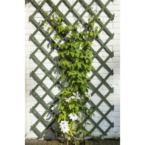 Nature 2 pcs Garden Trellises Wood Green 50x150 cm