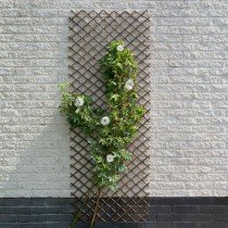 Nature Garden Trellis 30x180 cm Natural Willow Brown