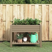 Garden Raised Bed White 110x45x79 cm Polypropylene
