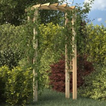 Trellis Arch 110x60x210 cm Impregnated Solid Wood Pine