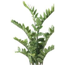 Emerald Artificial Zamioculcas Green 110 cm 11.662C