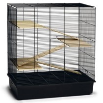 Beeztees Rodent Cage Scooby Black 70x40x78 cm Metal