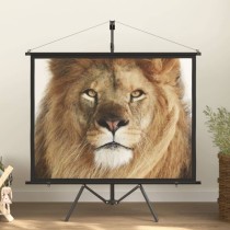 Projection Screen with Tripod 120" 16:9