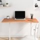 Desk Top 100x60x4 cm Solid Wood Beech