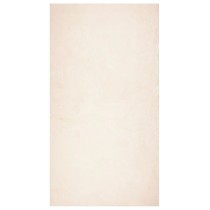 Rug HUARTE Short Pile Soft and Washable Beige 120x170 cm