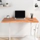Desk Top 100x60x4 cm Solid Wood Beech