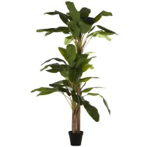 Decorative Plant Alexandra House Living Plastic Banana plant 23 x 234 x 23 cm