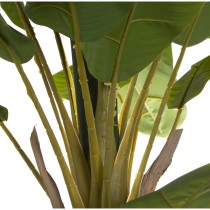 Decorative Plant Alexandra House Living Plastic Banana plant 23 x 234 x 23 cm