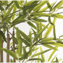 Decorative Plant Alexandra House Living Plastic Bamboo 15 x 15 x 162 cm