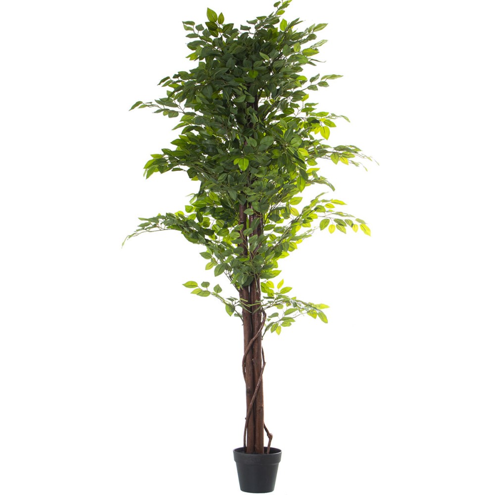 Decorative Plant Alexandra House Living Plastic Fig Tree 16 x 16 x 162 cm