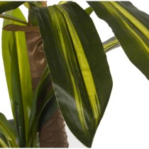 Decorative Plant Alexandra House Living Plastic Dracaena 130 cm