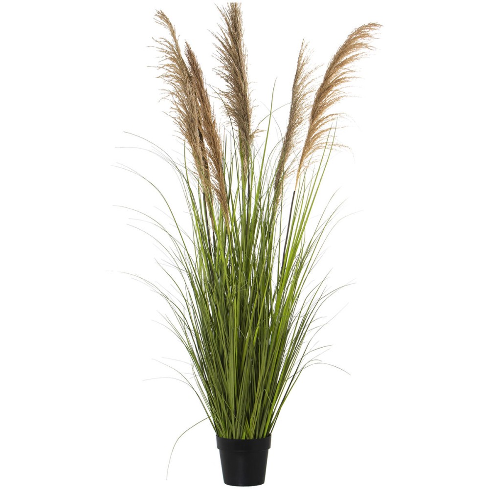 Decorative Plant Alexandra House Living Plastic 173 cm