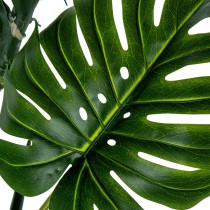 Decorative Plant Alexandra House Living Plastic Monstera 170 cm