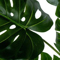 Decorative Plant Alexandra House Living Plastic Monstera 170 cm