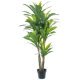 Decorative Plant Alexandra House Living Plastic Dracaena 160 cm