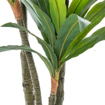 Decorative Plant Alexandra House Living Plastic Dracaena 160 cm